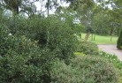 Fernvale QLDresidential-landscaping-35.jpg; ?>