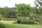 Fernvale QLDresidential-landscaping-40.jpg; ?>